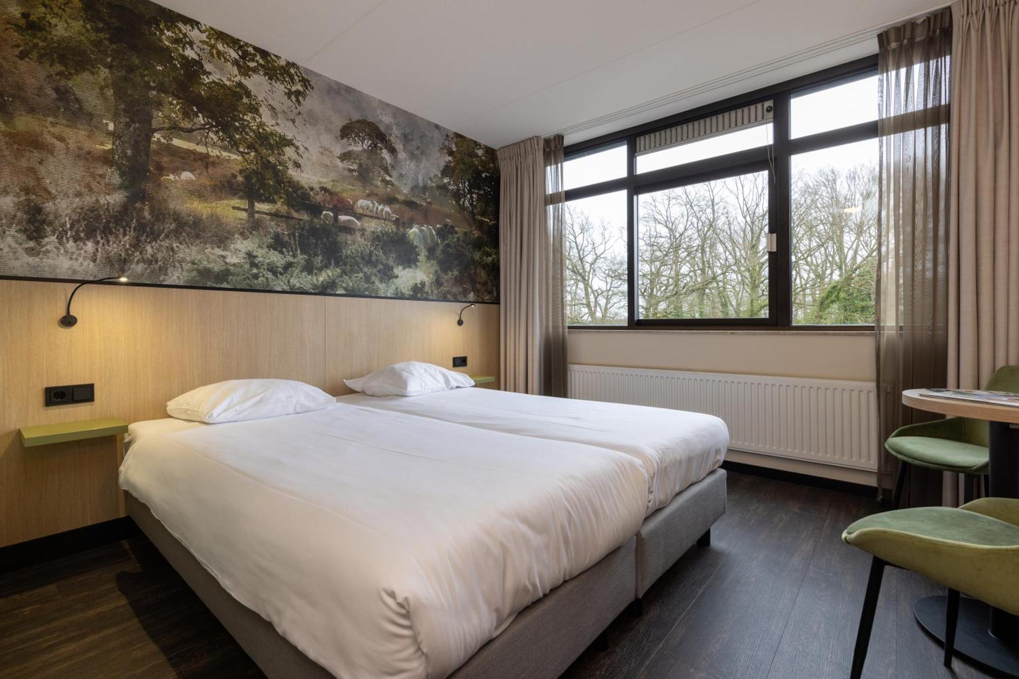 Standard Double Room,700577545:JPEG